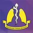 MTS 2019