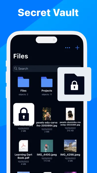 Скриншоты SNS: Secure phone & Data