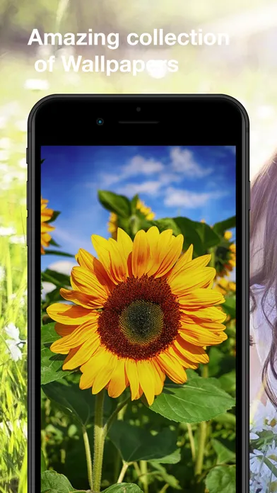 Ảnh chụp màn hình của Flowers Wallpapers: HD