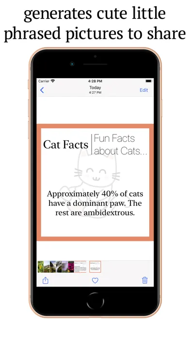 Cat Facts:Fun Facts about Cats Screenshots