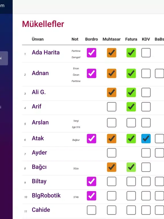 Muhasebe Bürom iPad 应用截图