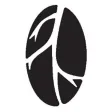 Roots Coffee House