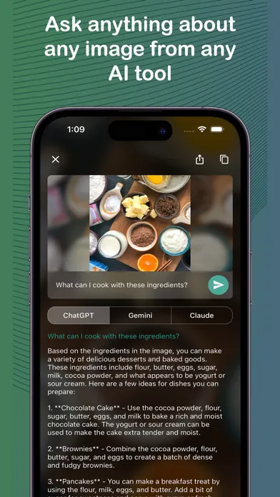 Capturas de pantalla de Multi AI Vision: Snap & Ask