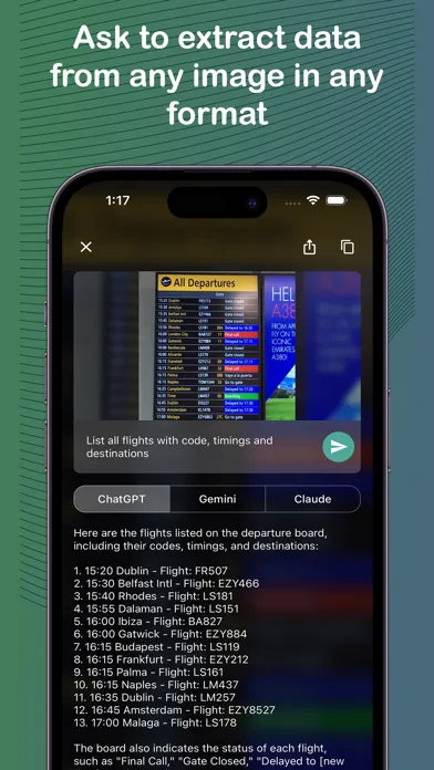 Capturas de pantalla de Multi AI Vision: Snap & Ask