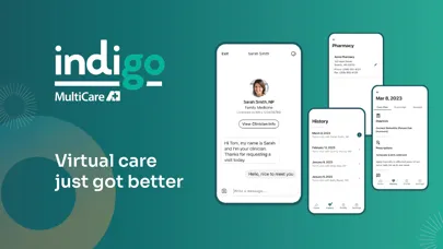 Indigo Virtual স্ক্রিনশট