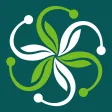 Encore by Green House Encore by Green House