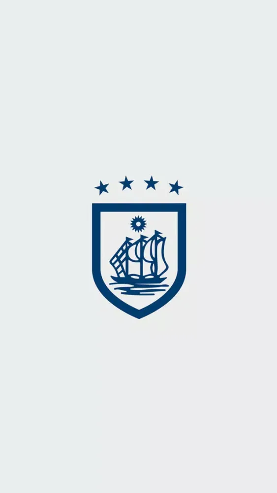 Brazaotex স্ক্রিনশট