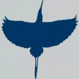 Flying Birds With Math Trivia