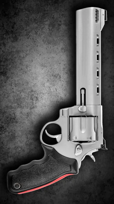 Tangkapan skrin Multi Weapons Simulator