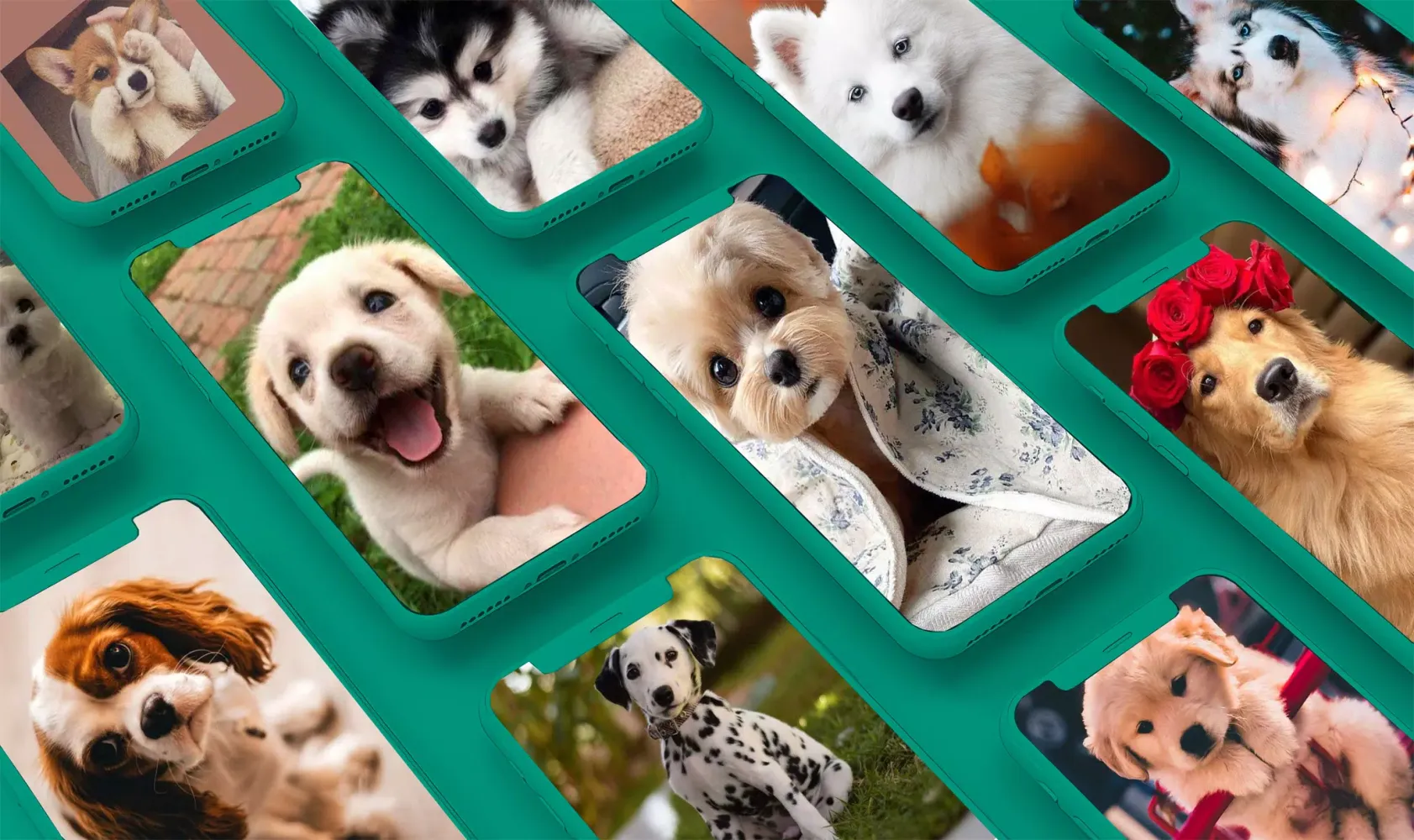 Puppy & Dog Wallpapers HD Screenshots