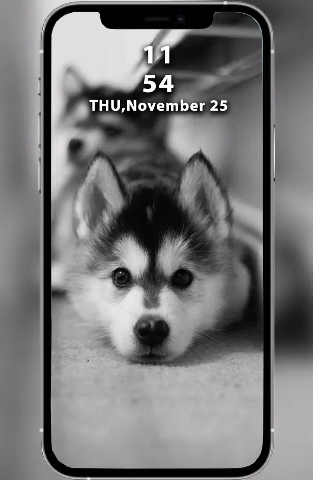 Puppy & Dog Wallpapers HD Screenshots