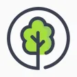 Pando Tree Pando Tree