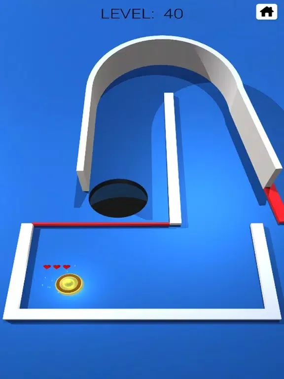 Скриншоты Hockey Brain Teaser Game iPad 