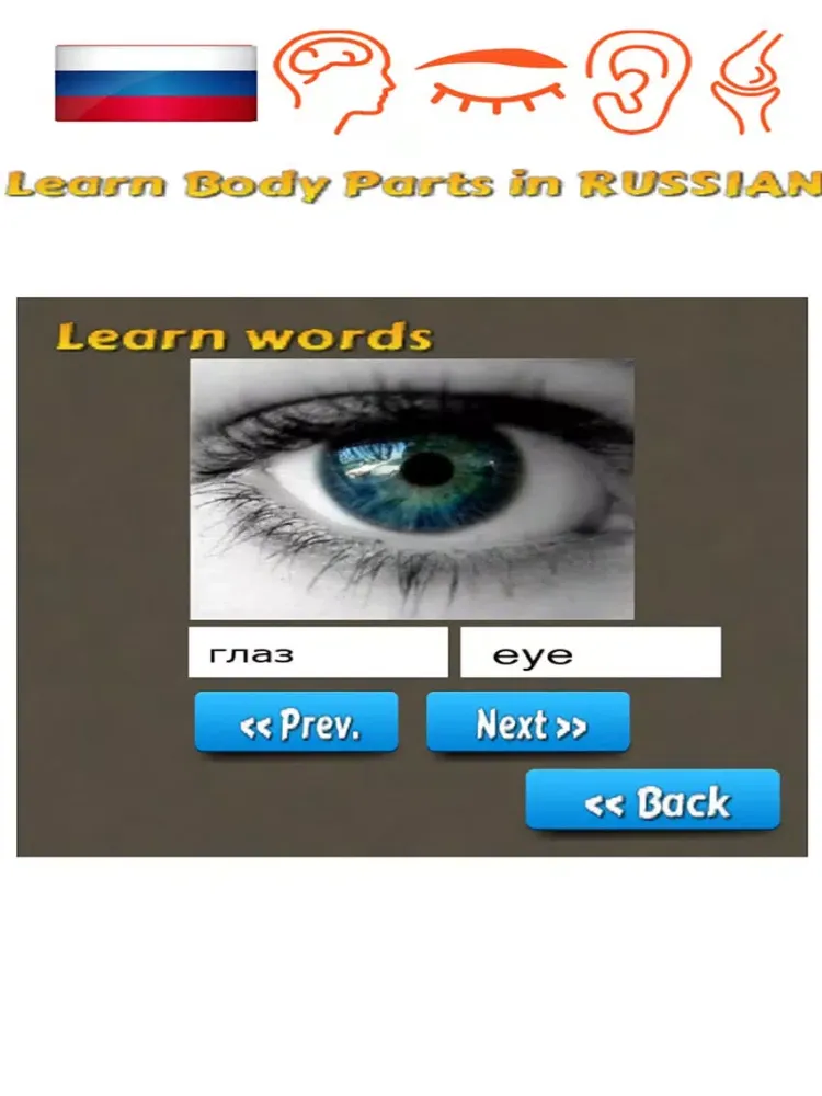 Capturas de tela do Learn Body Parts in Russian iPad 