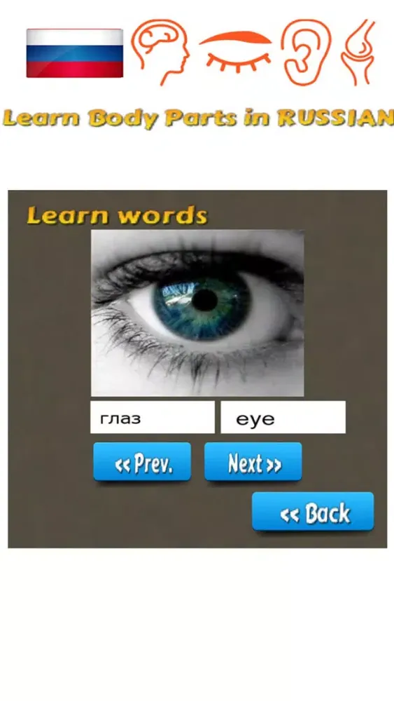 Capturas de tela do Learn Body Parts in Russian
