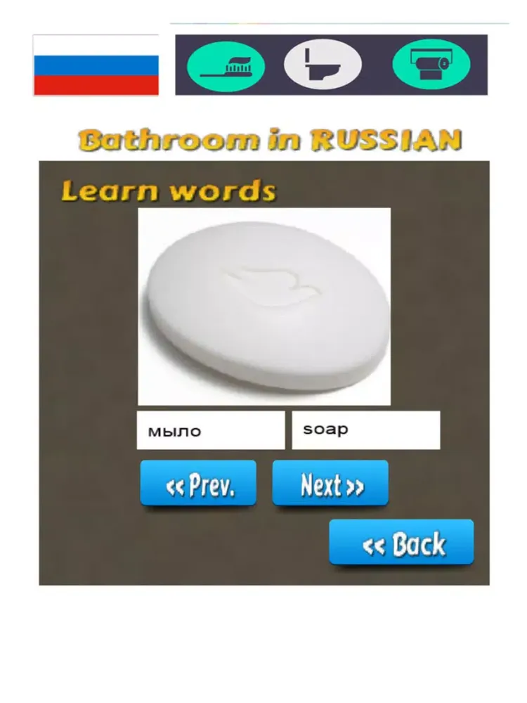 Russian Vocabulary Teacher - Bathroom Words iPad  Ekran Görüntüleri