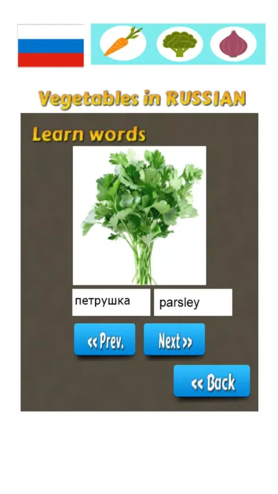 Learn Russian Words - Vegetable Names应用截图