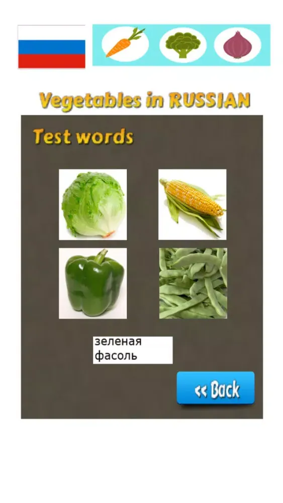 Learn Russian Words - Vegetable Names应用截图
