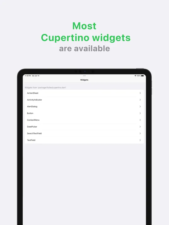 Cupertino Catalog iPad  Ekran Görüntüleri