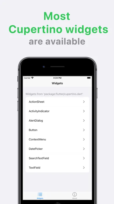 Cupertino Catalog Ekran Görüntüleri