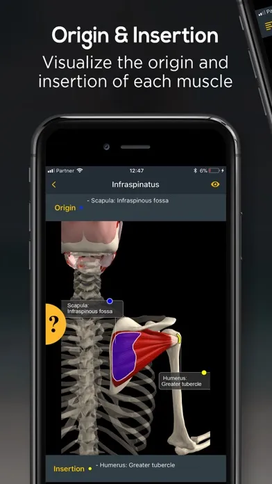 Anatomy by Muscle & Motion应用截图