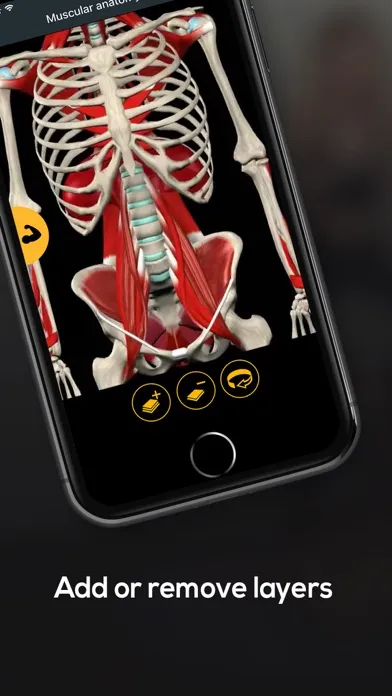 Anatomy by Muscle & Motion应用截图