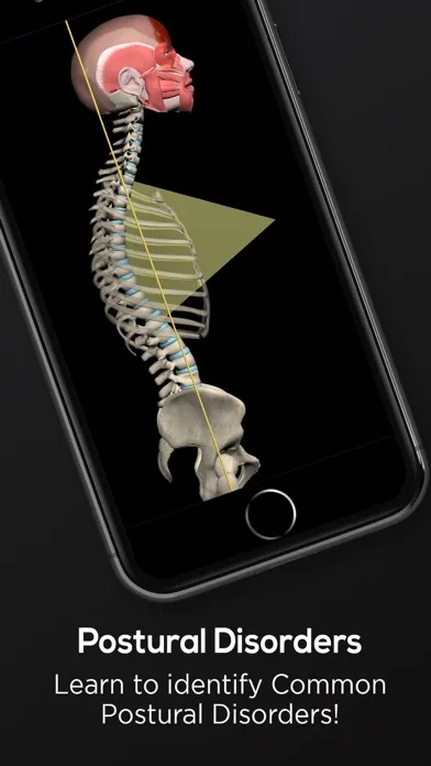 Posture by Muscle & Motion سکرین شاٹس
