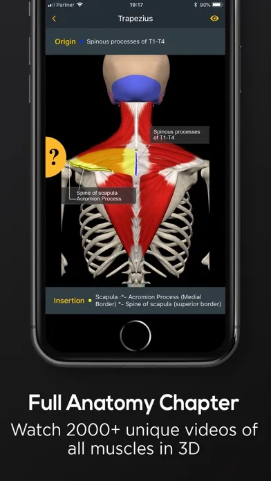 Posture by Muscle & Motion سکرین شاٹس