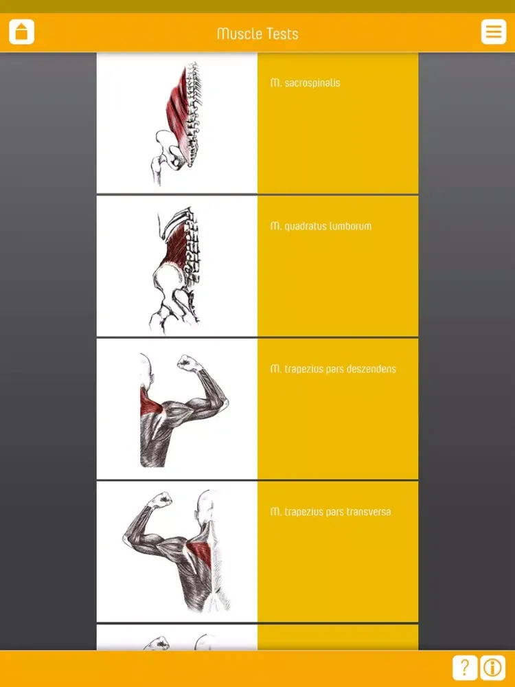 Muscle Test part 1 iPad  স্ক্রিনশট