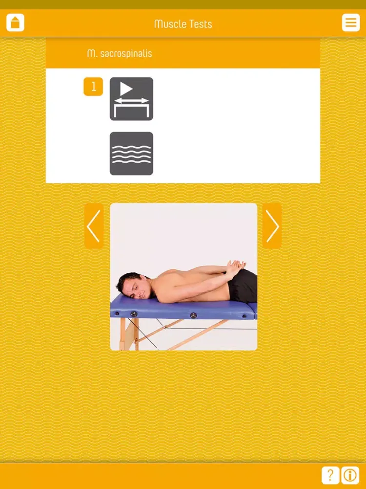 Muscle Test part 1 iPad  স্ক্রিনশট