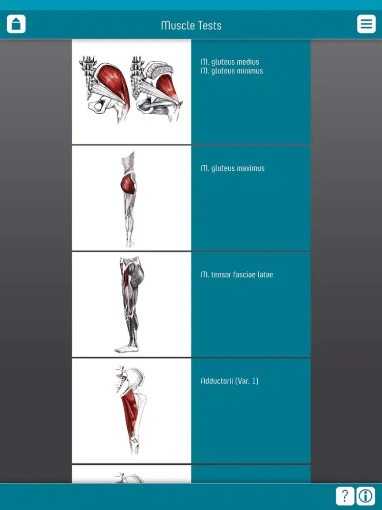 Muscle Test part 3 iPad  Ekran Görüntüleri