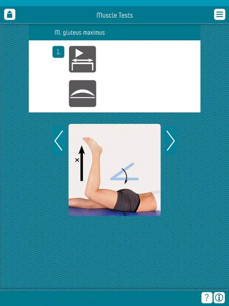 Muscle Test part 3 iPad  Ekran Görüntüleri