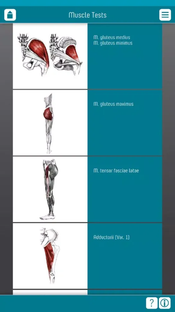 Muscle Test part 3 Ekran Görüntüleri