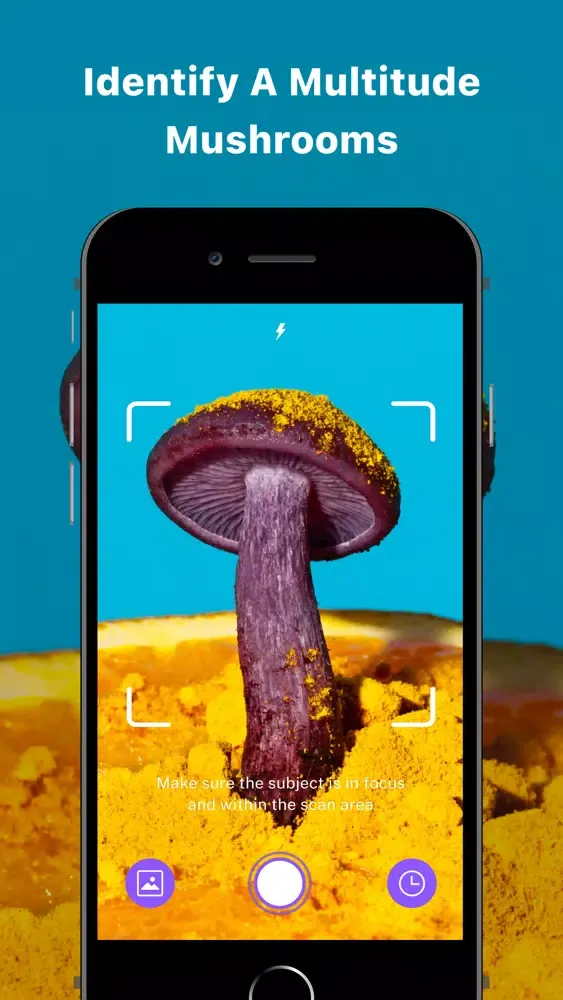 Mushroom ID - Picture mushroom スクリーンショット