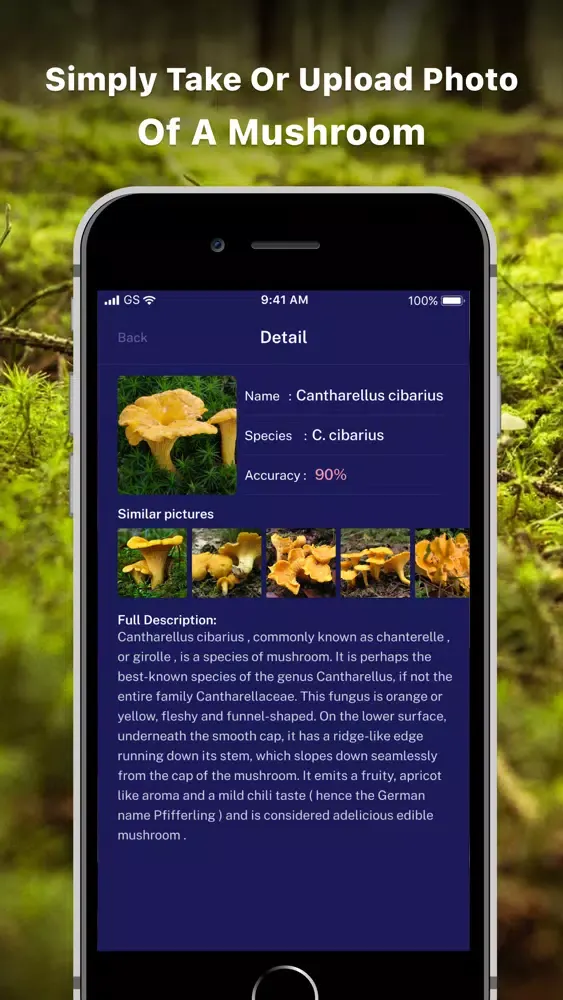 Mushroom ID - Picture mushroom スクリーンショット