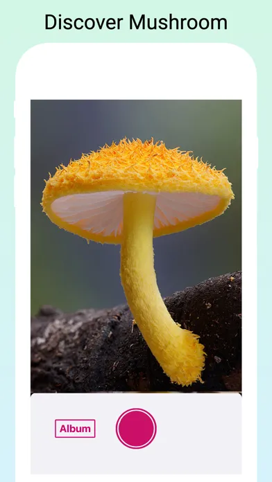 Mushroom Identifier by photo Screenshots