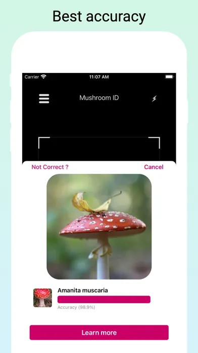 Mushroom Identifier by photo Screenshots