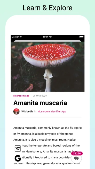 Mushroom Identifier by photo Screenshots