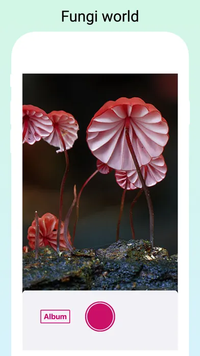 Mushroom Identifier by photo Screenshots