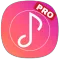 MP3 Player Pro