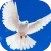 Musica cristiana Alabanzas