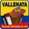 Musica Vallenata