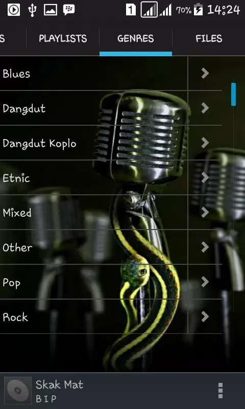 Tangkapan skrin Mp3 Player For Google