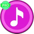 MP3 Player Pro