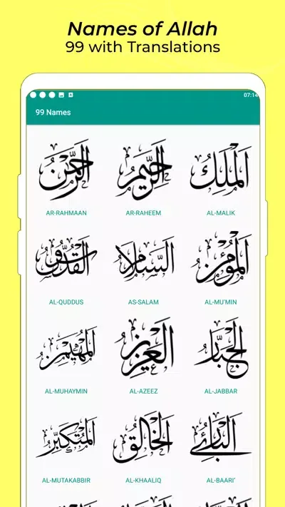 Al Quran MP3 Muhammed Ayyub应用截图