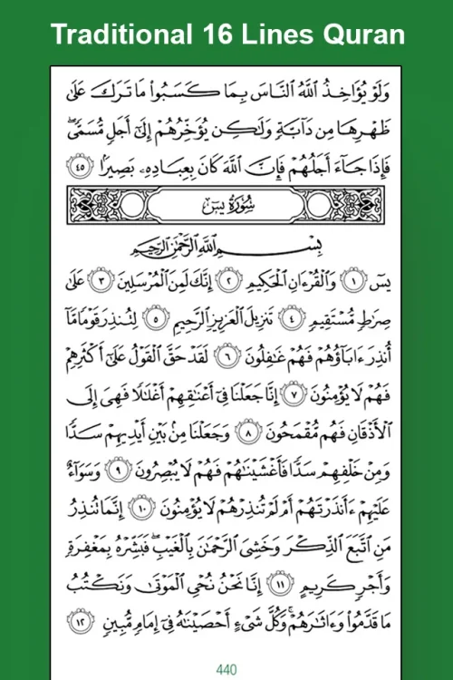 Easy Quran MP3-screenshot-3