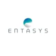Entasys Entasys
