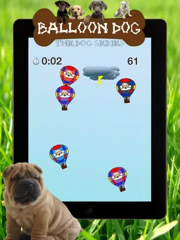 Dog series: Balloon Dog iPad  Screenshots