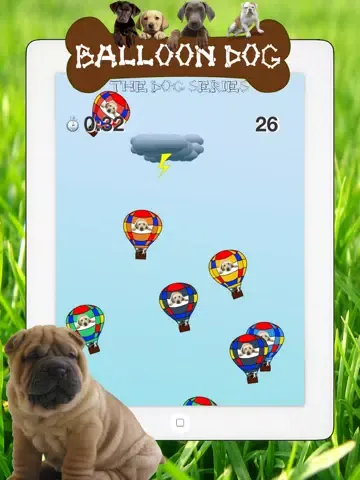 Dog series: Balloon Dog iPad  Screenshots