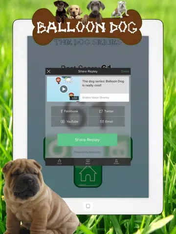 Dog series: Balloon Dog iPad  Screenshots